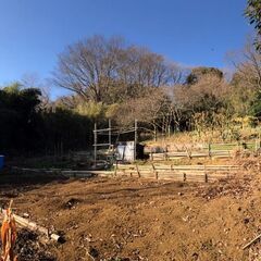 畑・農作業・竹林整備のお手伝い募集