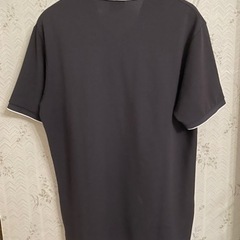 ノースフェイス  THE　NORTH FACE メンズポロシャツ  Lサイズの画像