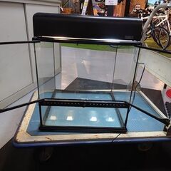 【値下げしました】 爬虫類飼育ゲージ  GEX ジェックス  グラステラリウム4545 コンパクト45(２灯式)付【引取限定・現状渡し】三重県の画像