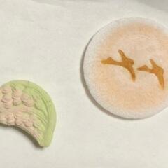 久留米有馬藩ゆかりの茶道　表千家不白流   おけいこ処案内🎵 見学&体験できますの画像