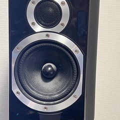 Diamond10.1 ペア※スタンドつき
