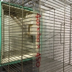 鳥かご譲ります、の画像