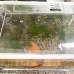 水槽の画像