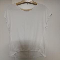 PLST(プラステ) Tシャツ