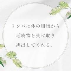 12経絡アロマリンパ