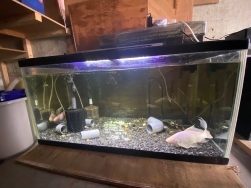 90cm規格水槽