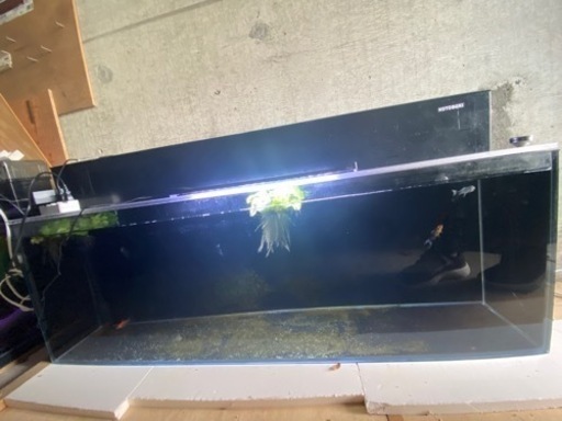 120cmオールガラス水槽