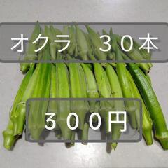 野菜　オクラ（規格外）４