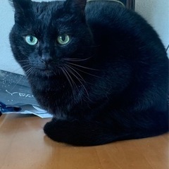 ちょっぴり臆病な甘えん坊くん