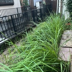 日野市 草刈りのお願い(平山城址公園駅10分)