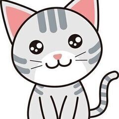 ◯可愛いシャムMIXの女の子◯の画像