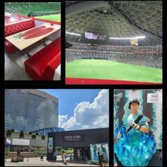 関東鷹組（関鷹）　プロ野球　ソフトバンクホークス（Softbank Hawks) 　観戦・応援　お友達募集 - 品川区