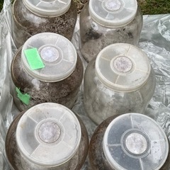 育成容器の画像