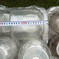 育成容器の画像