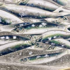 Tc456●札幌市内 配達無料●ニシン 絵画 水彩画 額寸約125.5×101.5cm 日本画 大漁 鰊 大作●USEDの画像