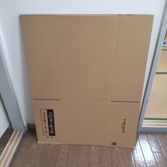 【未使用】140サイズ ダンボール ダンボールワン 9枚 広告入...