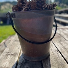 薪ストーブ用松ぼっくりの画像