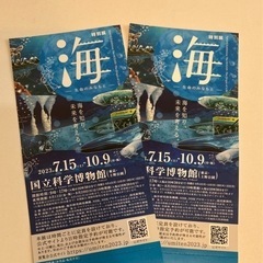 国立科学博物館 特別展 海 観覧券 チケット 2枚