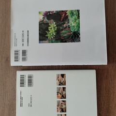 多肉植物の本、2冊の画像