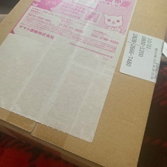 ポケモン　151 BOX 新品未開封