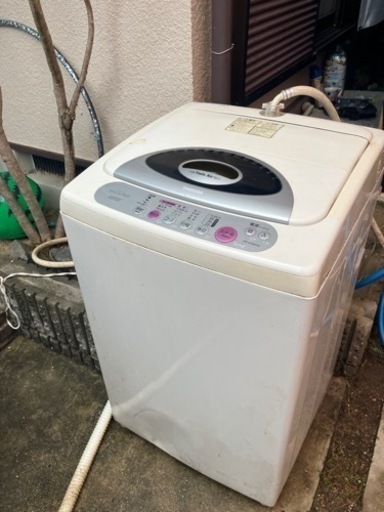 Toshiba 5 kg 洗濯機