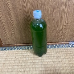 グリーンウォーター原液500ml 限定価格