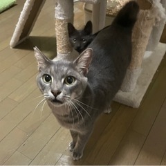 人が大好きな男の子です💕