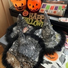 ★ハロウィン★デコレーション一式の画像