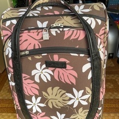 キャリーバックの画像