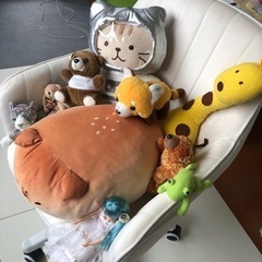 ぬいぐるみいろいろ他の画像