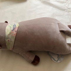 かわいい！　だっこぬいぐるみ　クールの画像