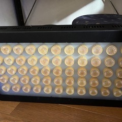 (引渡し決定)45cm 日海センター簡単水槽 その他備品
