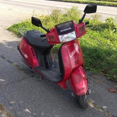 旧車！ホンダリードSSの画像
