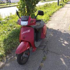 旧車！ホンダリードSS