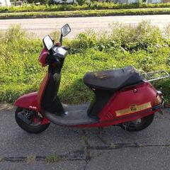 旧車！ホンダリードSSの画像