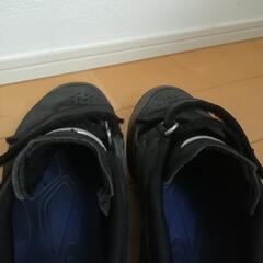 値下げ 24.5 MIZUNO スパイクの画像