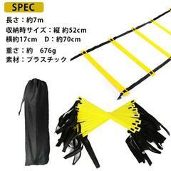 トレーニング器具　ラダー+トレーニングボールの画像