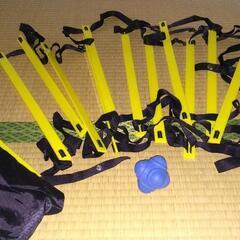 トレーニング器具　ラダー+トレーニングボールの画像