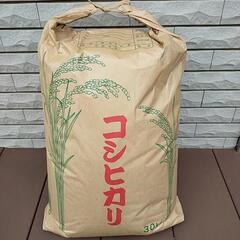 お米（コシヒカリ玄米）