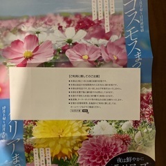 なばなの里の画像