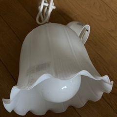 蛍光灯照明器具　ナショナル