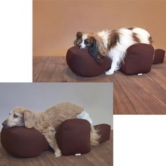 老犬介護?リラクッション 姿勢をサポート?