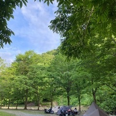平日キャンプ仲間募集