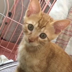 良く遊びたくさん食べます！元気いっぱい！ツナ君