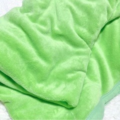 【汚れあり】薄手シングルサイズ毛布の画像