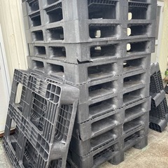 プラスチックパレット　1200サイズ　1枚600円