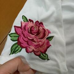 Tシャツの画像