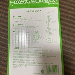 新品 おもちゃ クリスマス ドキドキゆらゆらツリーの画像