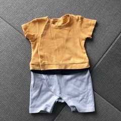 男の子80の画像