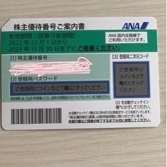 ANA株主優待券　2023年11月30日まで